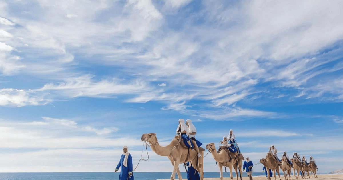 Camel ride on beach with blue sky